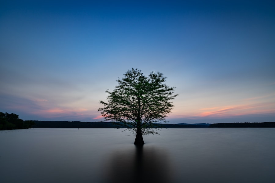 jordan lake